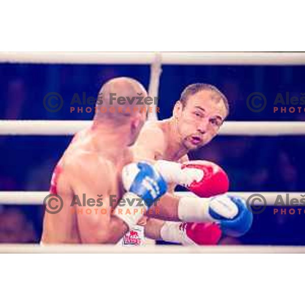 Dejan Zavec fights with Ferenc Hafner for a european champion title, first class boxing, Tabor Hall, Maribor, 17.10.2014