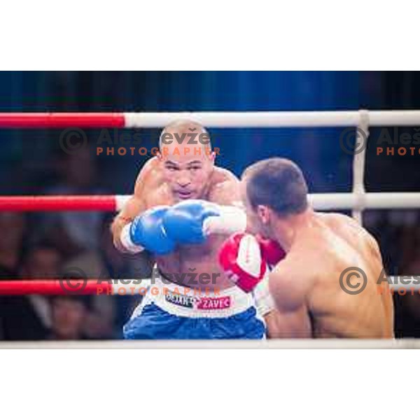Dejan Zavec fights with Ferenc Hafner for a european champion title, first class boxing, Tabor Hall, Maribor, 17.10.2014