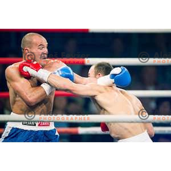 Dejan Zavec fights with Ferenc Hafner for a european champion title, first class boxing, Tabor Hall, Maribor, 17.10.2014