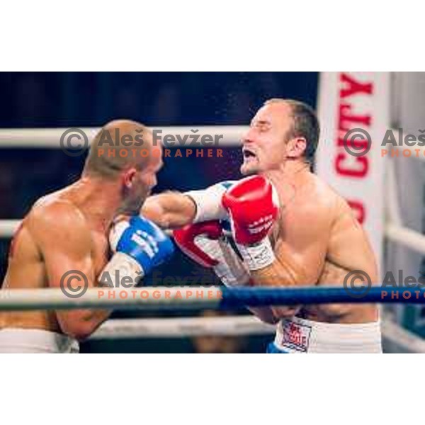 Dejan Zavec fights with Ferenc Hafner for a european champion title, first class boxing, Tabor Hall, Maribor, 17.10.2014