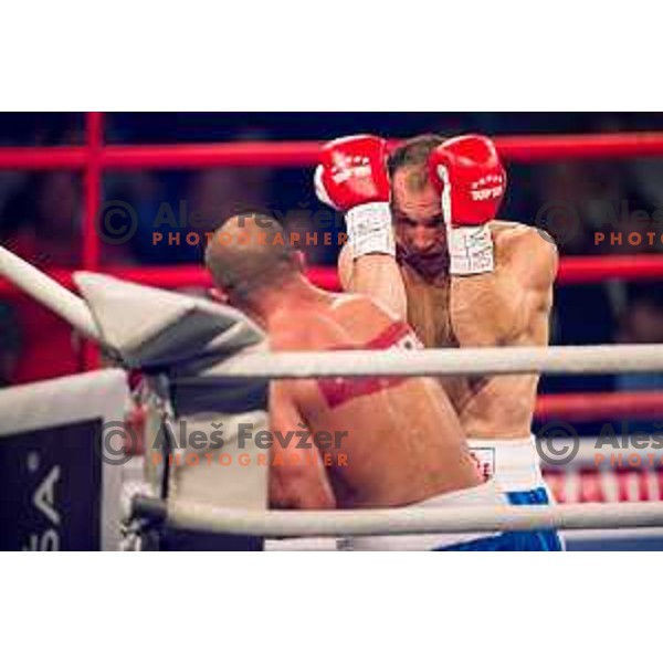 Dejan Zavec fights with Ferenc Hafner for a european champion title, first class boxing, Tabor Hall, Maribor, 17.10.2014