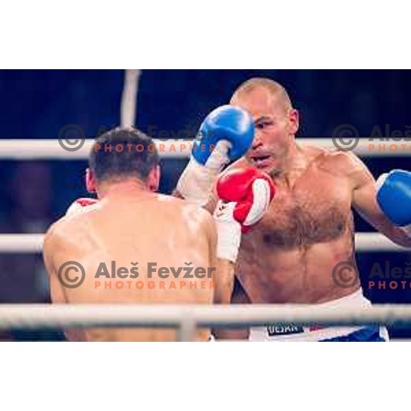Dejan Zavec fights with Ferenc Hafner for a european champion title, first class boxing, Tabor Hall, Maribor, 17.10.2014