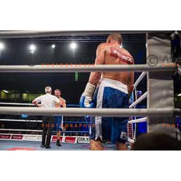Dejan Zavec fights with Ferenc Hafner for a european champion title, first class boxing, Tabor Hall, Maribor, 17.10.2014