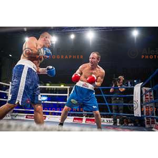 Dejan Zavec fights with Ferenc Hafner for a european champion title, first class boxing, Tabor Hall, Maribor, 17.10.2014