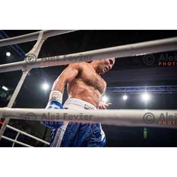 Dejan Zavec fights with Ferenc Hafner for a european champion title, first class boxing, Tabor Hall, Maribor, 17.10.2014