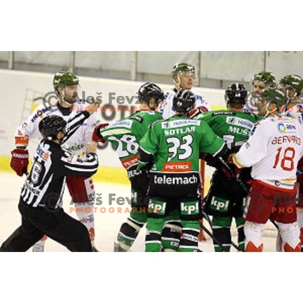 of Olimpija in action during EBEL League Season 2014/15 ice-hockey match between HDD Telemach Olimpija and Bolzano, played in Tivoli Hall, Ljubljana, Slovenia, on October 23, 2014