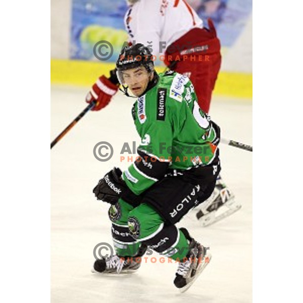 of Olimpija in action during EBEL League Season 2014/15 ice-hockey match between HDD Telemach Olimpija and Bolzano, played in Tivoli Hall, Ljubljana, Slovenia, on October 23, 2014