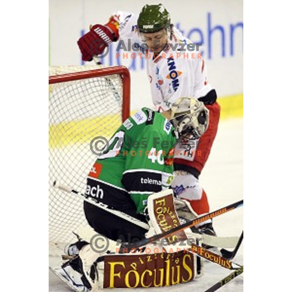 of Olimpija in action during EBEL League Season 2014/15 ice-hockey match between HDD Telemach Olimpija and Bolzano, played in Tivoli Hall, Ljubljana, Slovenia, on October 23, 2014