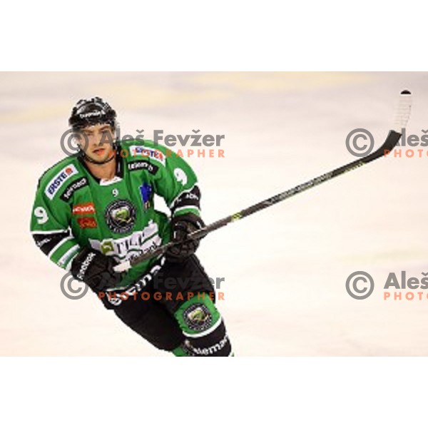 of Olimpija in action during EBEL League Season 2014/15 ice-hockey match between HDD Telemach Olimpija and Bolzano, played in Tivoli Hall, Ljubljana, Slovenia, on October 23, 2014