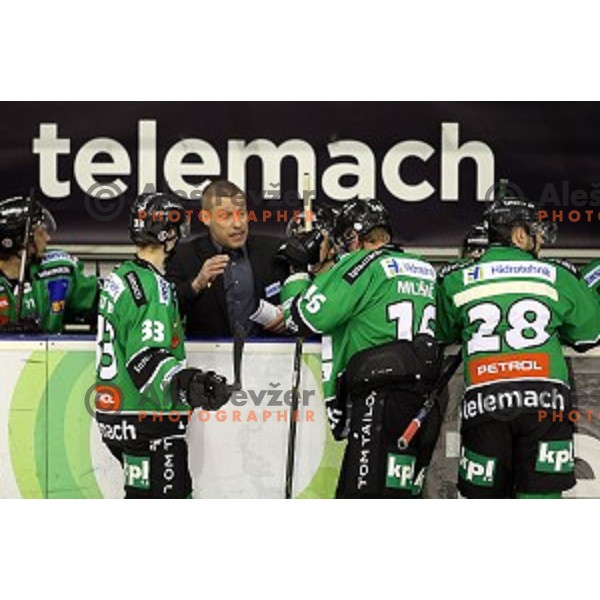 of Olimpija in action during EBEL League Season 2014/15 ice-hockey match between HDD Telemach Olimpija and Bolzano, played in Tivoli Hall, Ljubljana, Slovenia, on October 23, 2014