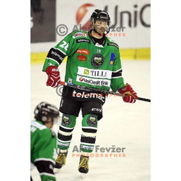 of Olimpija in action during EBEL League Season 2014/15 ice-hockey match between HDD Telemach Olimpija and Bolzano, played in Tivoli Hall, Ljubljana, Slovenia, on October 23, 2014
