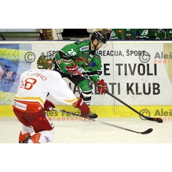 of Olimpija in action during EBEL League Season 2014/15 ice-hockey match between HDD Telemach Olimpija and Bolzano, played in Tivoli Hall, Ljubljana, Slovenia, on October 23, 2014