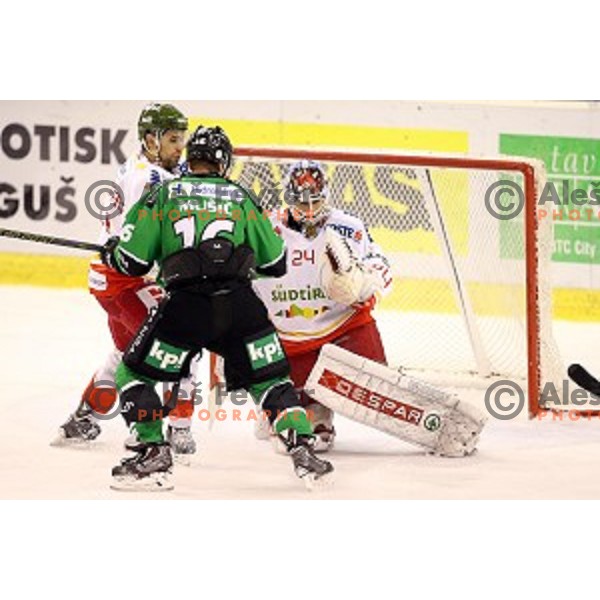 of Olimpija in action during EBEL League Season 2014/15 ice-hockey match between HDD Telemach Olimpija and Bolzano, played in Tivoli Hall, Ljubljana, Slovenia, on October 23, 2014