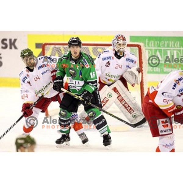 of Olimpija in action during EBEL League Season 2014/15 ice-hockey match between HDD Telemach Olimpija and Bolzano, played in Tivoli Hall, Ljubljana, Slovenia, on October 23, 2014