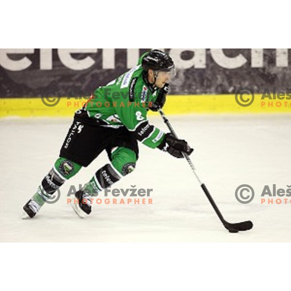 of Olimpija in action during EBEL League Season 2014/15 ice-hockey match between HDD Telemach Olimpija and Bolzano, played in Tivoli Hall, Ljubljana, Slovenia, on October 23, 2014