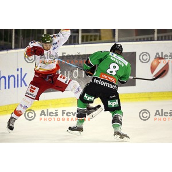 of Olimpija in action during EBEL League Season 2014/15 ice-hockey match between HDD Telemach Olimpija and Bolzano, played in Tivoli Hall, Ljubljana, Slovenia, on October 23, 2014