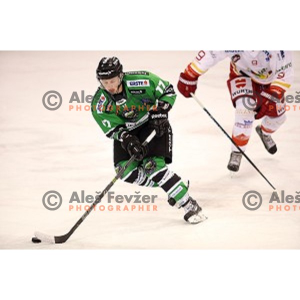 of Olimpija in action during EBEL League Season 2014/15 ice-hockey match between HDD Telemach Olimpija and Bolzano, played in Tivoli Hall, Ljubljana, Slovenia, on October 23, 2014