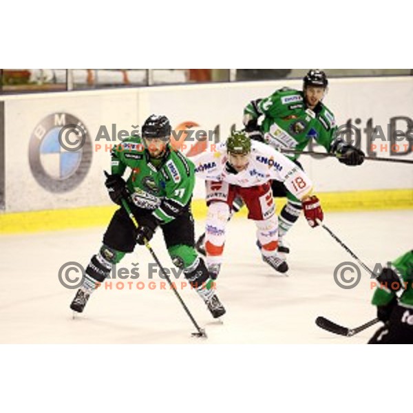 of Olimpija in action during EBEL League Season 2014/15 ice-hockey match between HDD Telemach Olimpija and Bolzano, played in Tivoli Hall, Ljubljana, Slovenia, on October 23, 2014