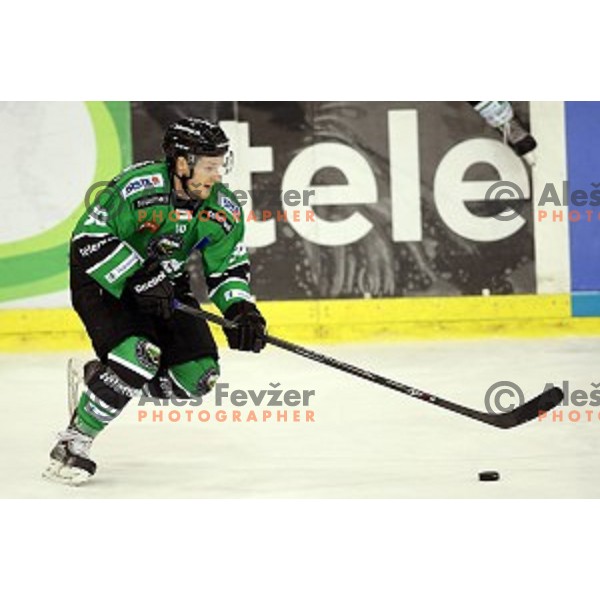 of Olimpija in action during EBEL League Season 2014/15 ice-hockey match between HDD Telemach Olimpija and Bolzano, played in Tivoli Hall, Ljubljana, Slovenia, on October 23, 2014