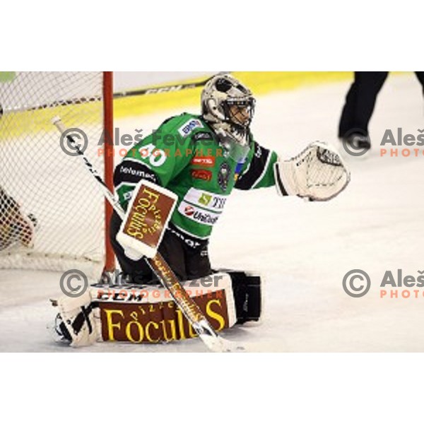 of Olimpija in action during EBEL League Season 2014/15 ice-hockey match between HDD Telemach Olimpija and Bolzano, played in Tivoli Hall, Ljubljana, Slovenia, on October 23, 2014