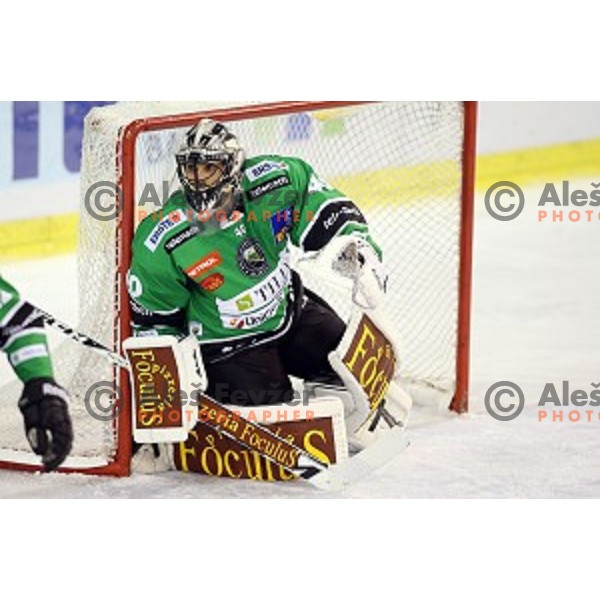 of Olimpija in action during EBEL League Season 2014/15 ice-hockey match between HDD Telemach Olimpija and Bolzano, played in Tivoli Hall, Ljubljana, Slovenia, on October 23, 2014