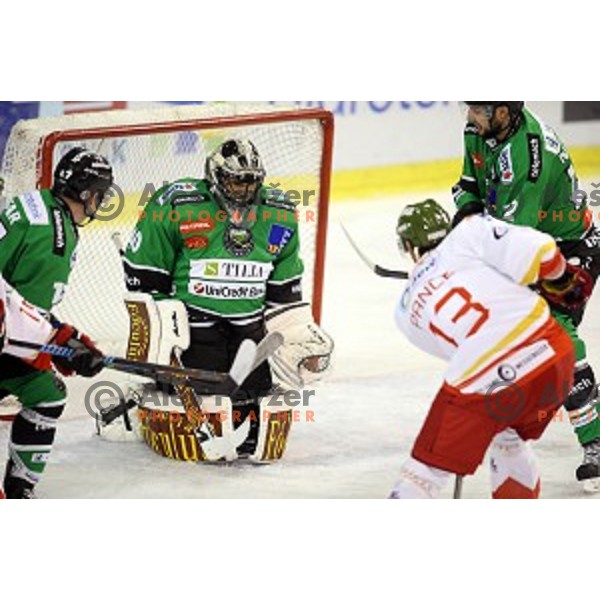 of Olimpija in action during EBEL League Season 2014/15 ice-hockey match between HDD Telemach Olimpija and Bolzano, played in Tivoli Hall, Ljubljana, Slovenia, on October 23, 2014
