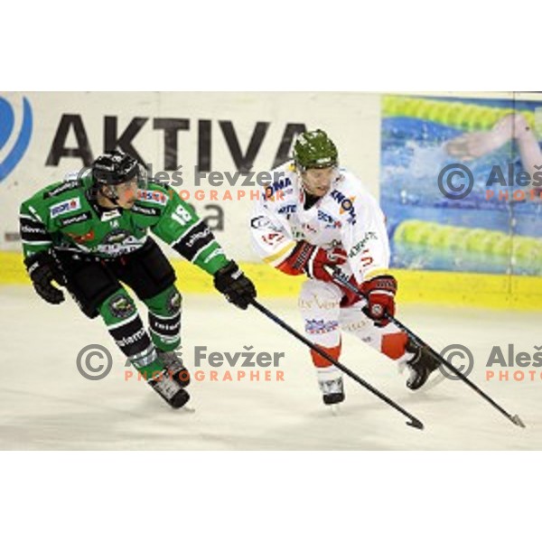 of Olimpija in action during EBEL League Season 2014/15 ice-hockey match between HDD Telemach Olimpija and Bolzano, played in Tivoli Hall, Ljubljana, Slovenia, on October 23, 2014