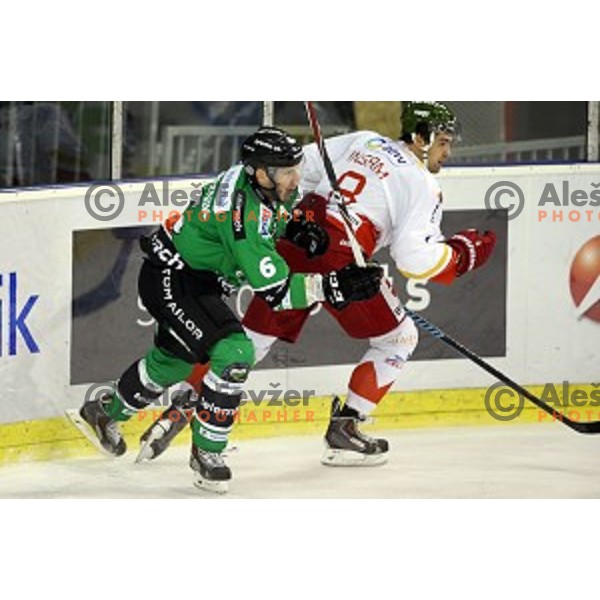 of Olimpija in action during EBEL League Season 2014/15 ice-hockey match between HDD Telemach Olimpija and Bolzano, played in Tivoli Hall, Ljubljana, Slovenia, on October 23, 2014