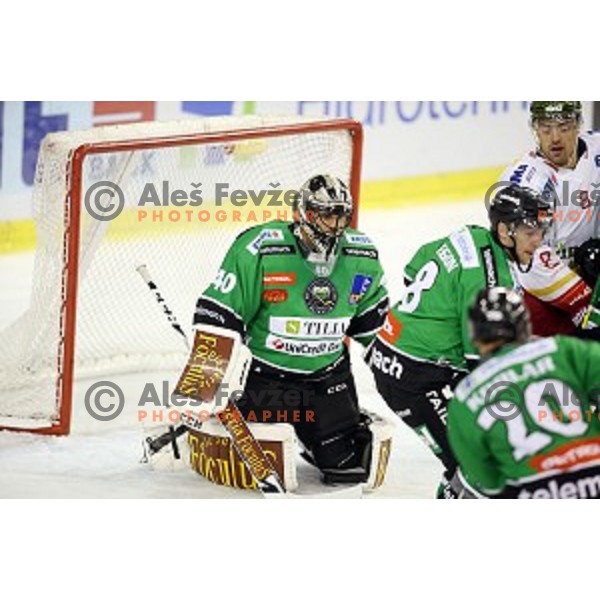 of Olimpija in action during EBEL League Season 2014/15 ice-hockey match between HDD Telemach Olimpija and Bolzano, played in Tivoli Hall, Ljubljana, Slovenia, on October 23, 2014
