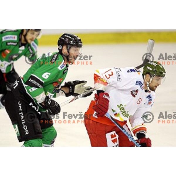 of Olimpija in action during EBEL League Season 2014/15 ice-hockey match between HDD Telemach Olimpija and Bolzano, played in Tivoli Hall, Ljubljana, Slovenia, on October 23, 2014