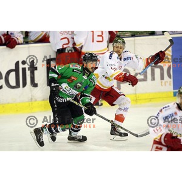 of Olimpija in action during EBEL League Season 2014/15 ice-hockey match between HDD Telemach Olimpija and Bolzano, played in Tivoli Hall, Ljubljana, Slovenia, on October 23, 2014