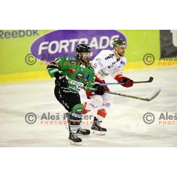 of Olimpija in action during EBEL League Season 2014/15 ice-hockey match between HDD Telemach Olimpija and Bolzano, played in Tivoli Hall, Ljubljana, Slovenia, on October 23, 2014