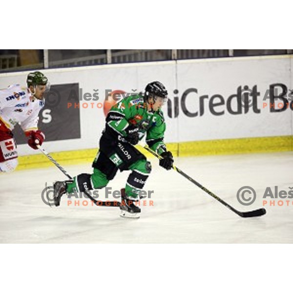 of Olimpija in action during EBEL League Season 2014/15 ice-hockey match between HDD Telemach Olimpija and Bolzano, played in Tivoli Hall, Ljubljana, Slovenia, on October 23, 2014