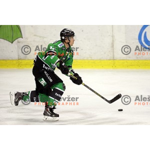 of Olimpija in action during EBEL League Season 2014/15 ice-hockey match between HDD Telemach Olimpija and Bolzano, played in Tivoli Hall, Ljubljana, Slovenia, on October 23, 2014