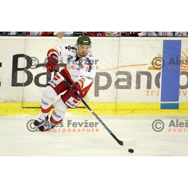 of Olimpija in action during EBEL League Season 2014/15 ice-hockey match between HDD Telemach Olimpija and Bolzano, played in Tivoli Hall, Ljubljana, Slovenia, on October 23, 2014
