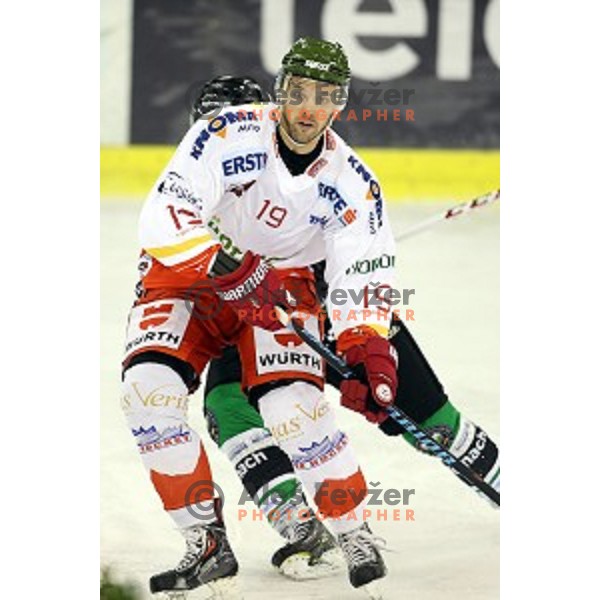 of Olimpija in action during EBEL League Season 2014/15 ice-hockey match between HDD Telemach Olimpija and Bolzano, played in Tivoli Hall, Ljubljana, Slovenia, on October 23, 2014