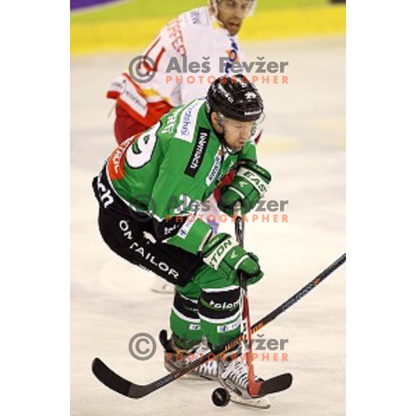 of Olimpija in action during EBEL League Season 2014/15 ice-hockey match between HDD Telemach Olimpija and Bolzano, played in Tivoli Hall, Ljubljana, Slovenia, on October 23, 2014