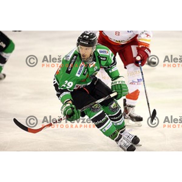 of Olimpija in action during EBEL League Season 2014/15 ice-hockey match between HDD Telemach Olimpija and Bolzano, played in Tivoli Hall, Ljubljana, Slovenia, on October 23, 2014