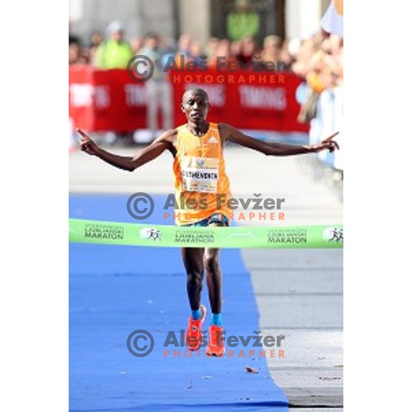 Ishimael Bushendich (KEN) winner of 19. Volkswagen Ljubljana Marathon in Ljubljana, Slovenia on October 26, 2014