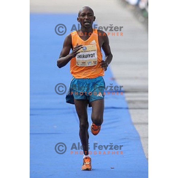 19. Volkswagen Ljubljana Marathon in Ljubljana, Slovenia on October 26, 2014