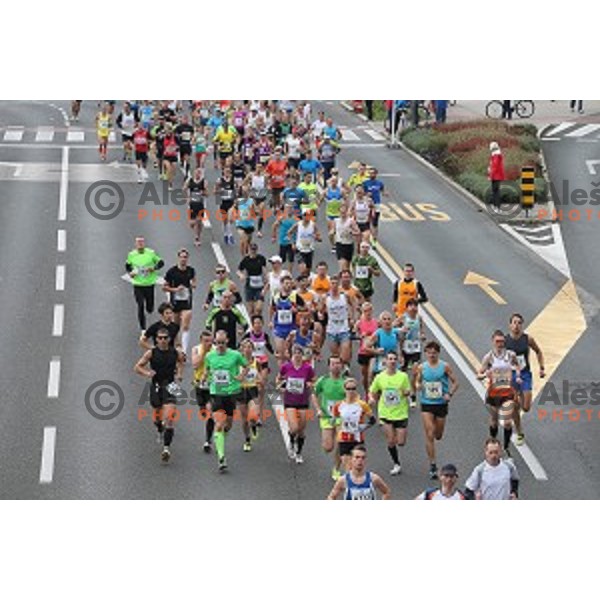 19. Volkswagen Ljubljana Marathon in Ljubljana, Slovenia on October 26, 2014