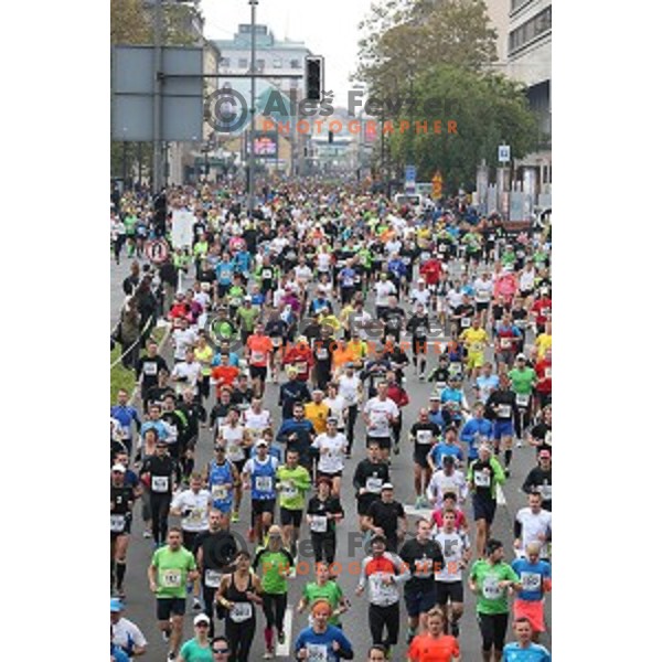 19. Volkswagen Ljubljana Marathon in Ljubljana, Slovenia on October 26, 2014