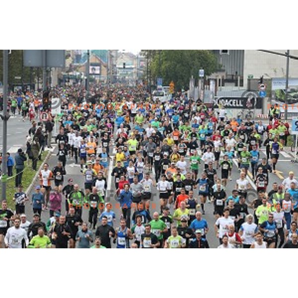 19. Volkswagen Ljubljana Marathon in Ljubljana, Slovenia on October 26, 2014