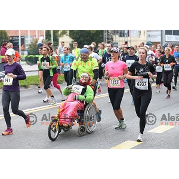 19. Volkswagen Ljubljana Marathon in Ljubljana, Slovenia on October 26, 2014