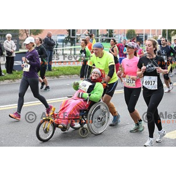 19. Volkswagen Ljubljana Marathon in Ljubljana, Slovenia on October 26, 2014