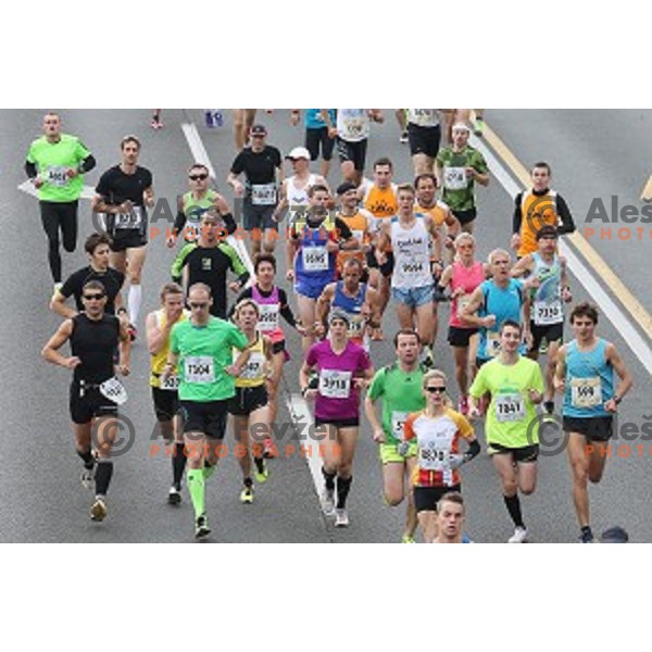 19. Volkswagen Ljubljana Marathon in Ljubljana, Slovenia on October 26, 2014