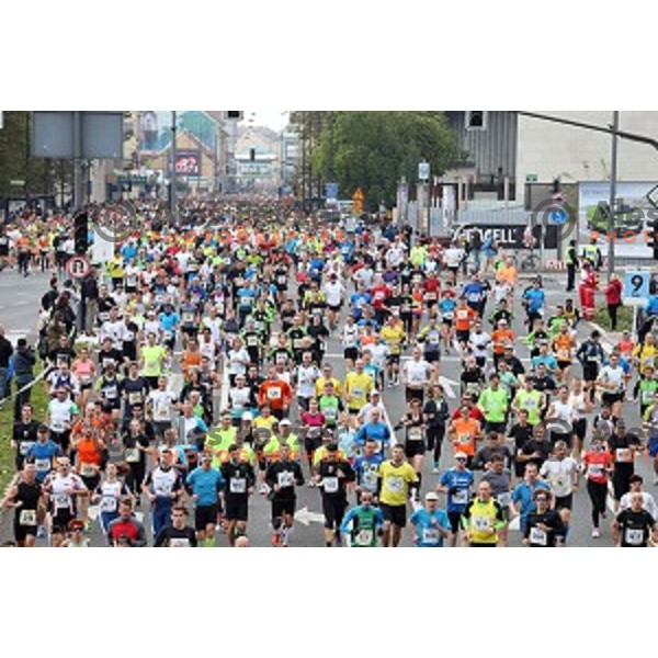 19. Volkswagen Ljubljana Marathon in Ljubljana, Slovenia on October 26, 2014