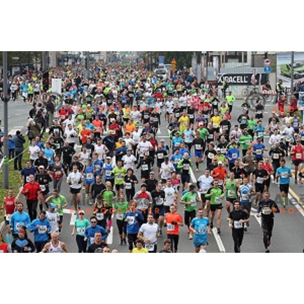 19. Volkswagen Ljubljana Marathon in Ljubljana, Slovenia on October 26, 2014