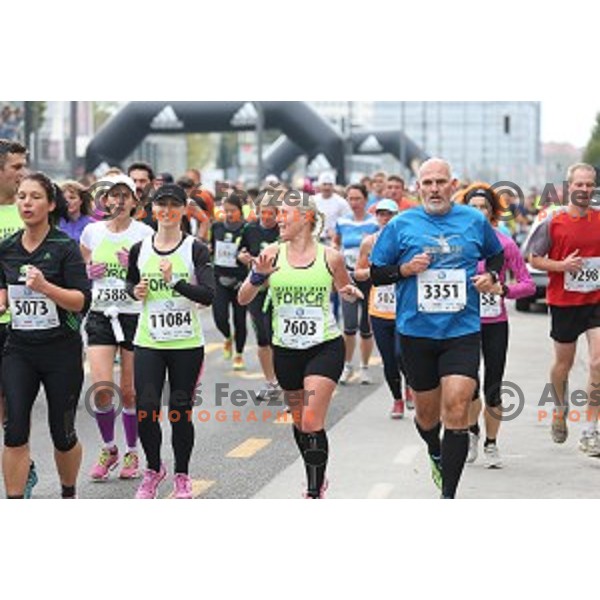 19. Volkswagen Ljubljana Marathon in Ljubljana, Slovenia on October 26, 2014