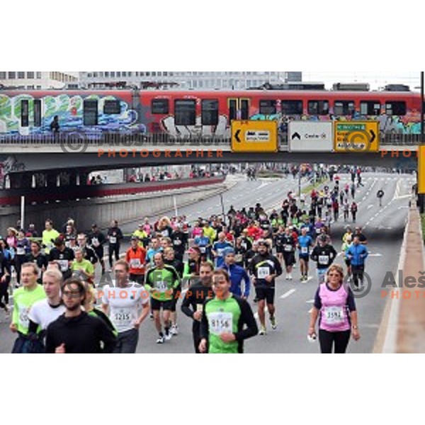19. Volkswagen Ljubljana Marathon in Ljubljana, Slovenia on October 26, 2014